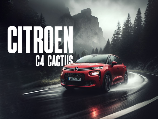 3D dywaniki EVAMATS z rantami do Citroen C4 Cactus 2018+