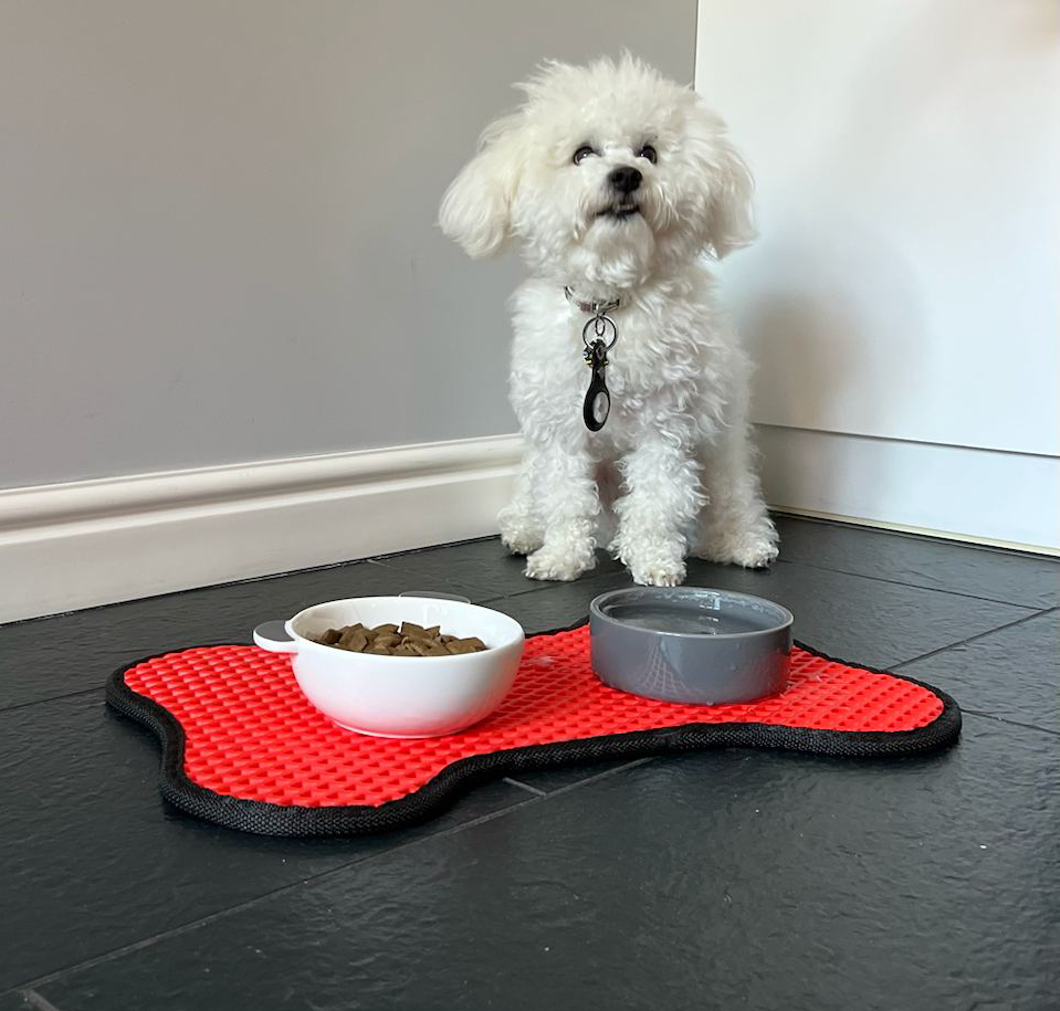Bone-shaped Pet Bowl Mat