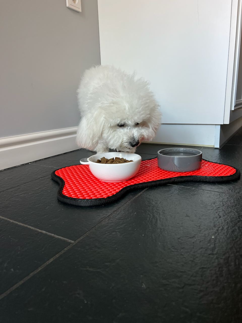 Bone-shaped Pet Bowl Mat