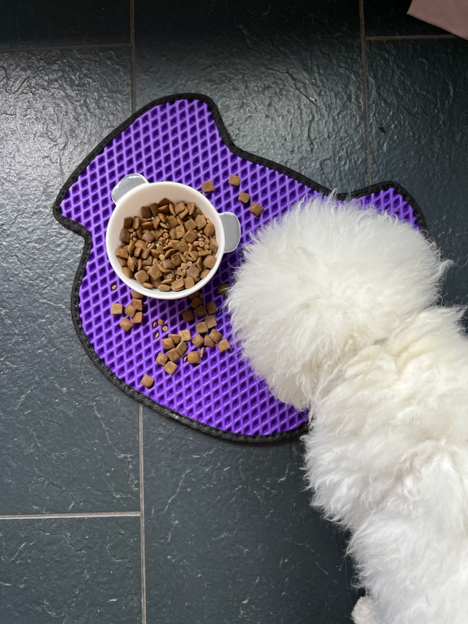 Dog Bowl Mat