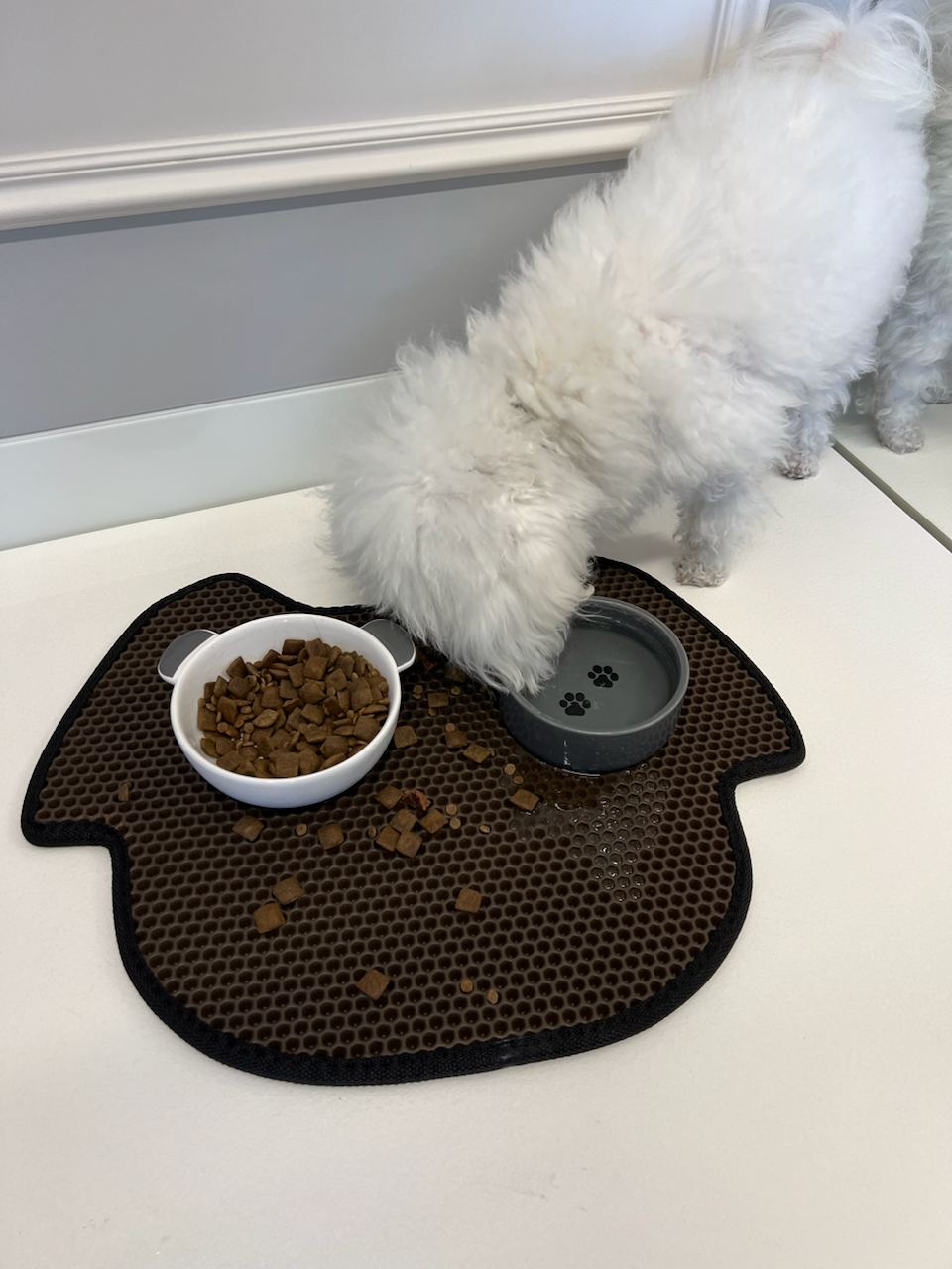 Dog Bowl Mat