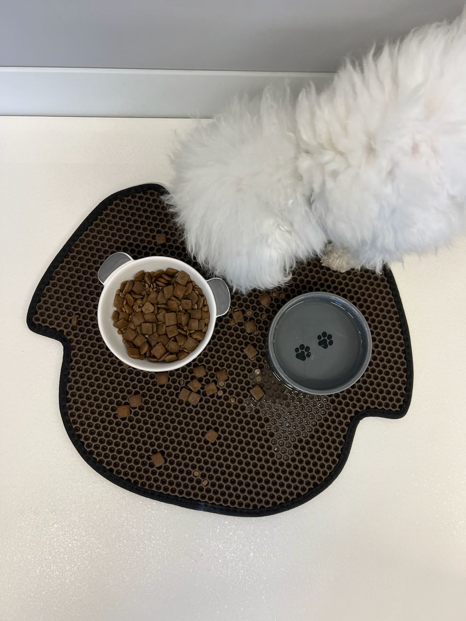 Dog Bowl Mat