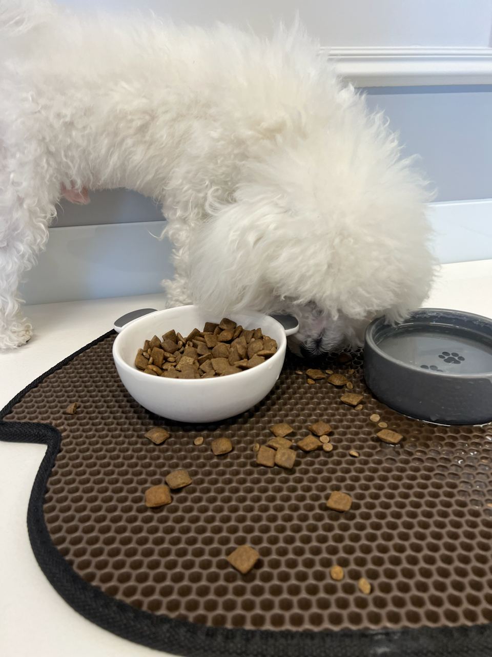Dog Bowl Mat