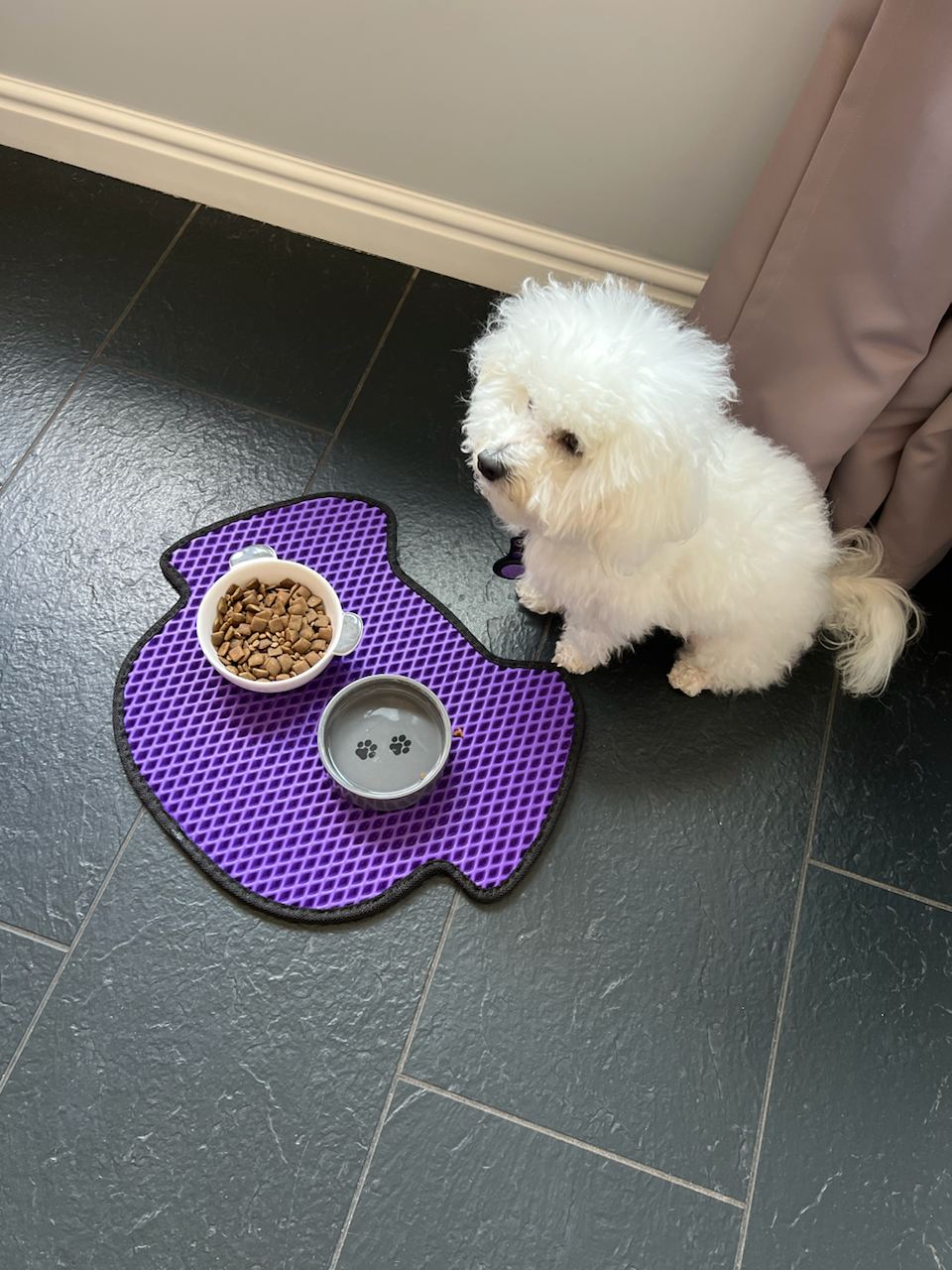 Dog Bowl Mat